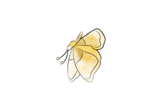 butterfly-02-1--data