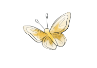 butterfly-01-1--data