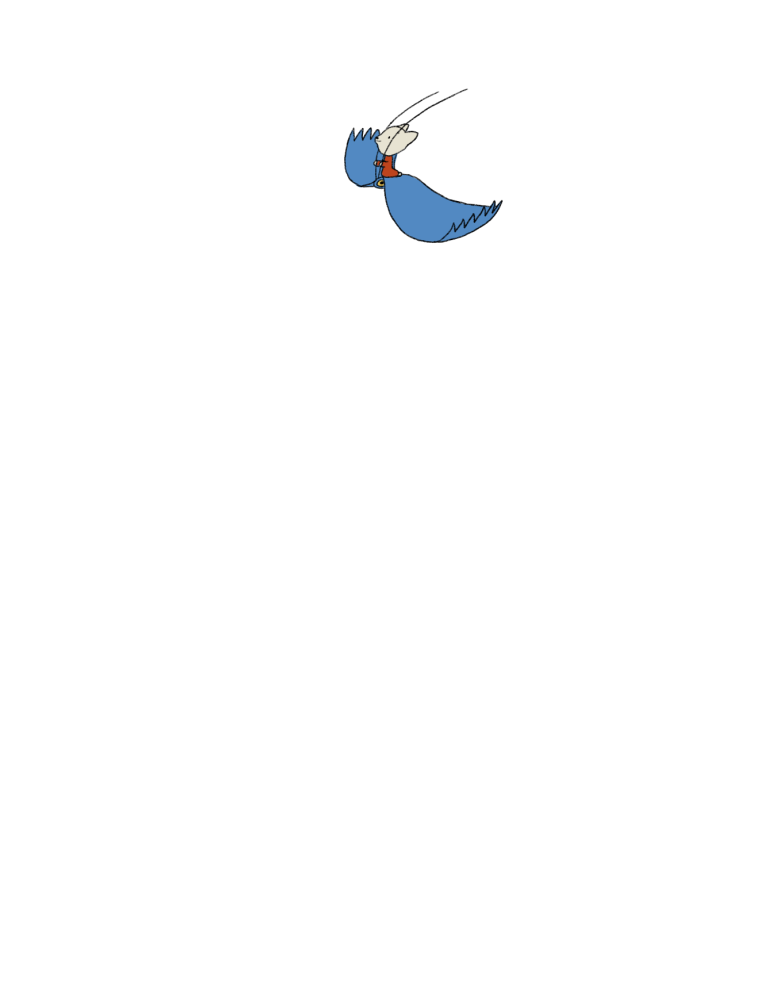 JZ_BIRD(M)2_00007