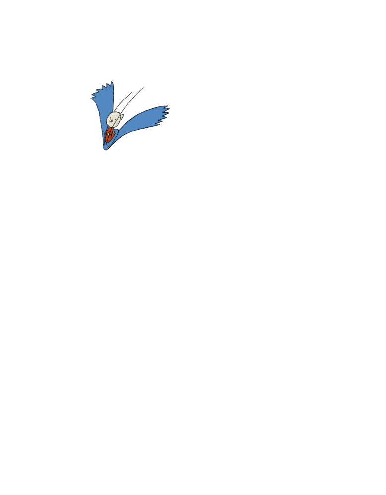 JZ_BIRD(M)2_00011