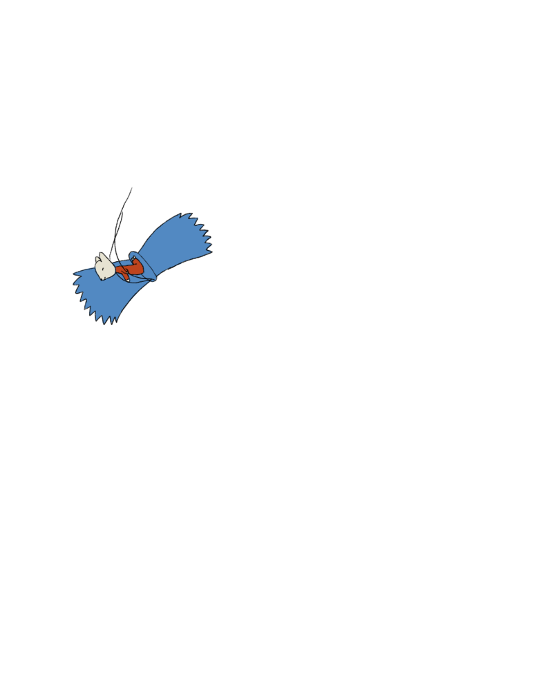 JZ_BIRD(M)2_00013