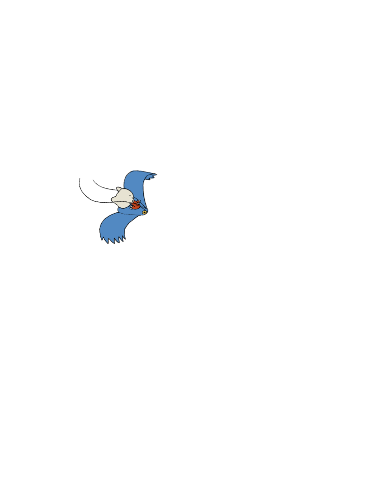 JZ_BIRD(M)2_00014