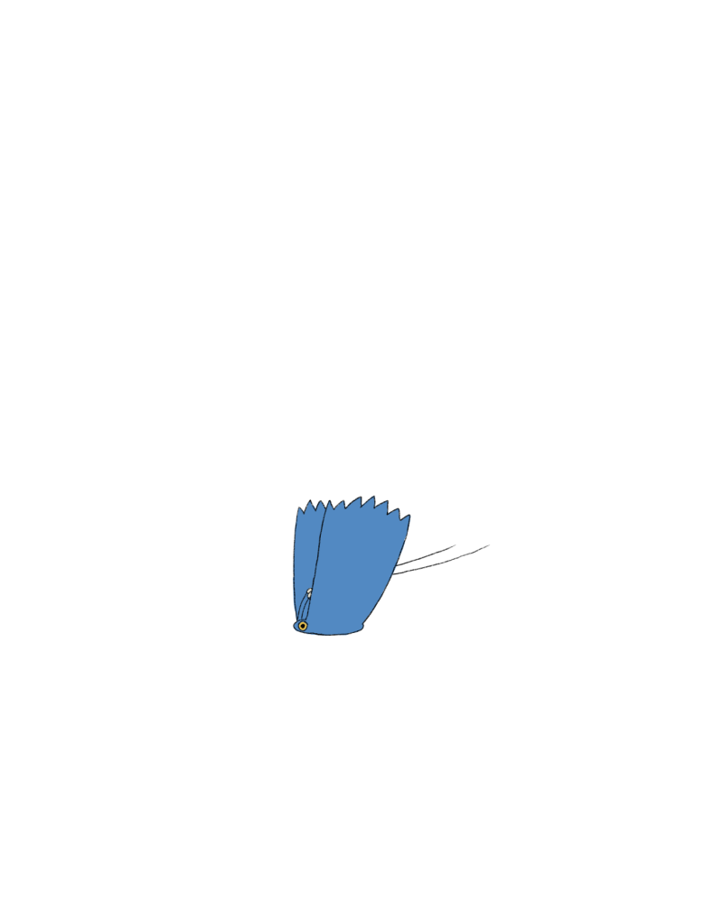 JZ_BIRD(M)2_00028