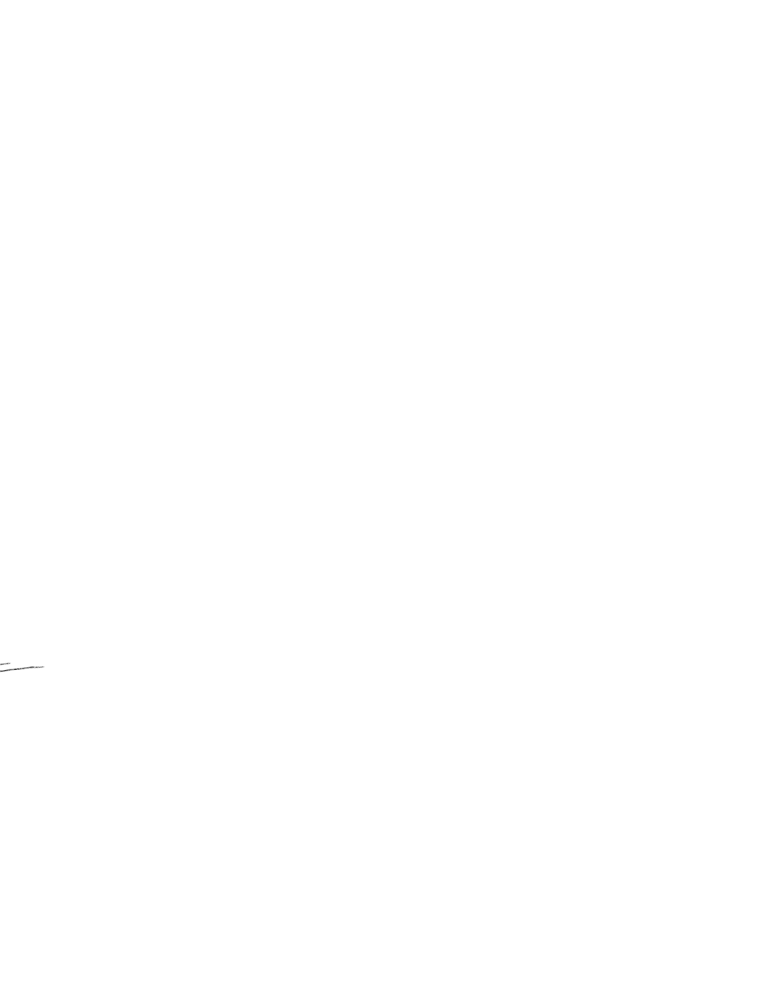 JZ_BIRD(M)2_00034