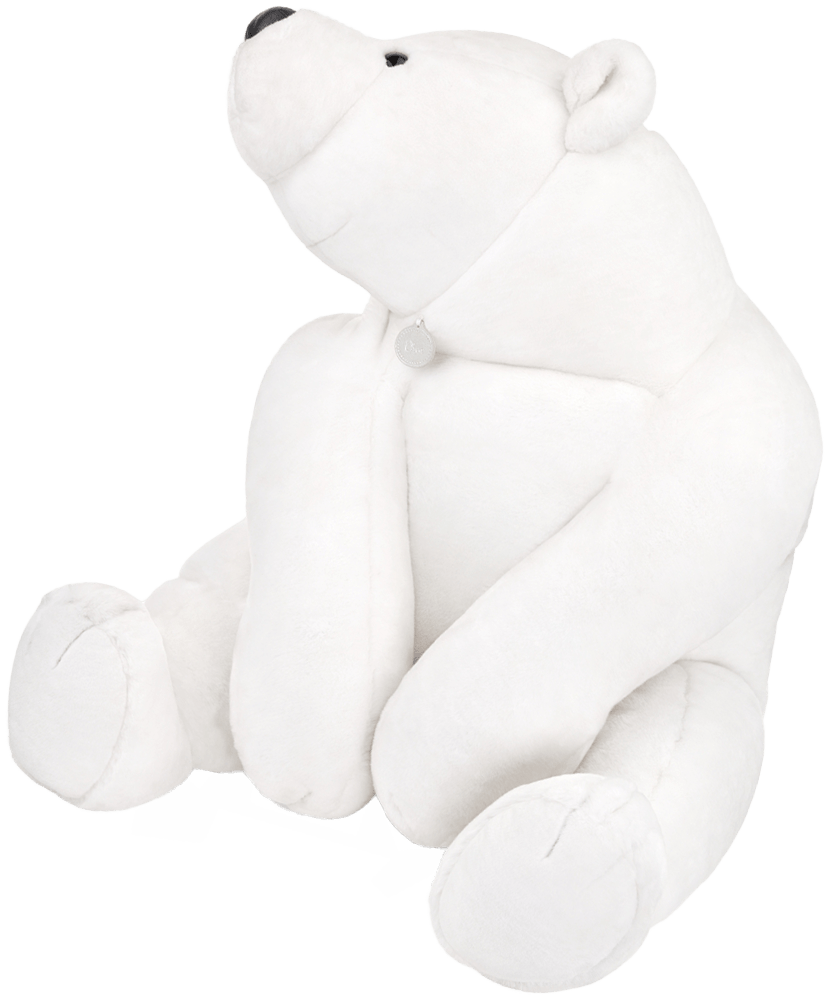 TEDDY_05