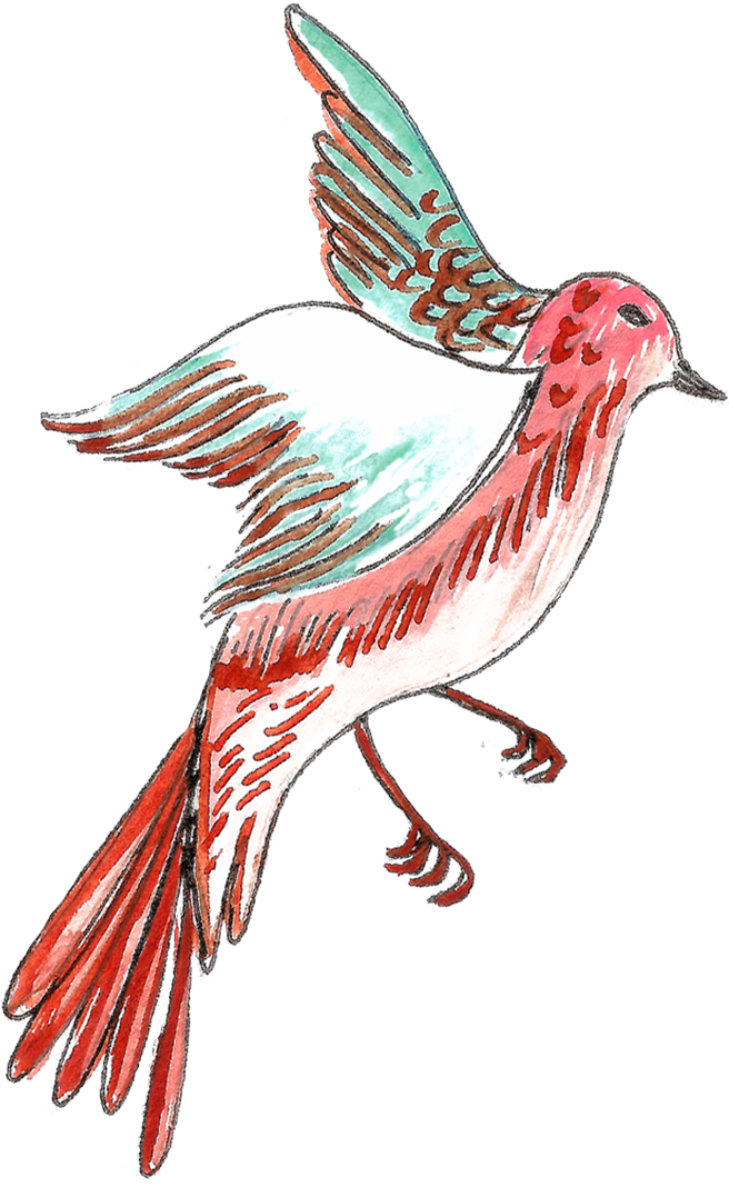 BIRD1